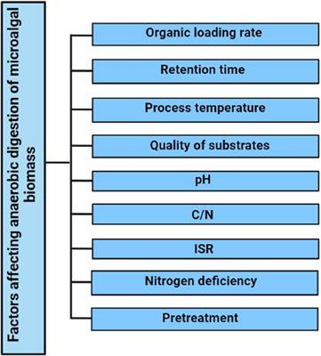 Insights into anaerobic digestion of microalgal biomass for enhanced energy recovery